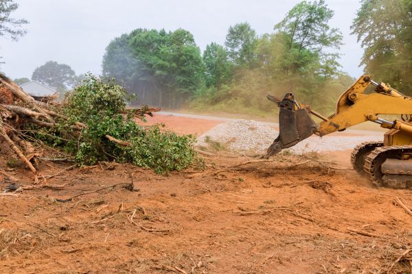 Ground Clearing in San Angelo