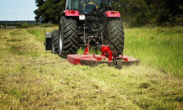 Brush Clearing Service in San Angelo