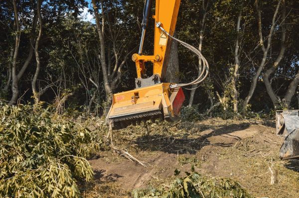 Brush Removal Service in San Angelo