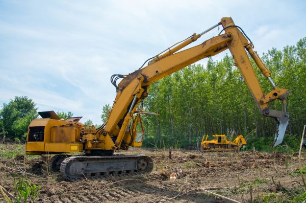 Farm Clearing in San Angelo
