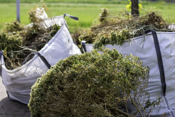 Bushes Clearing in San Angelo