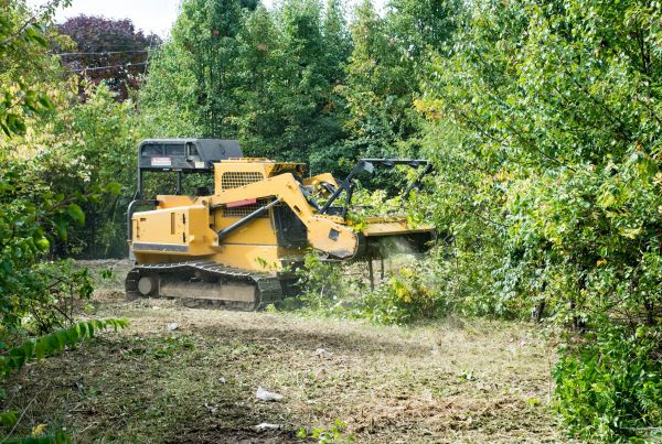 Pathway Clearing in San Angelo