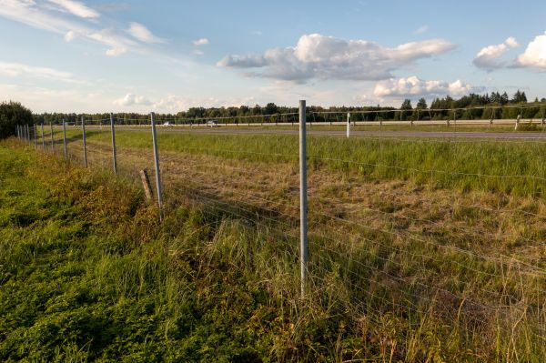 Property Line Clearing in San Angelo
