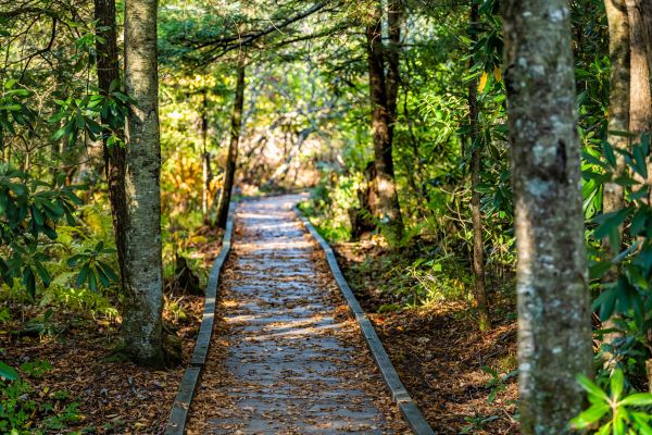 Trail Clearing in San Angelo