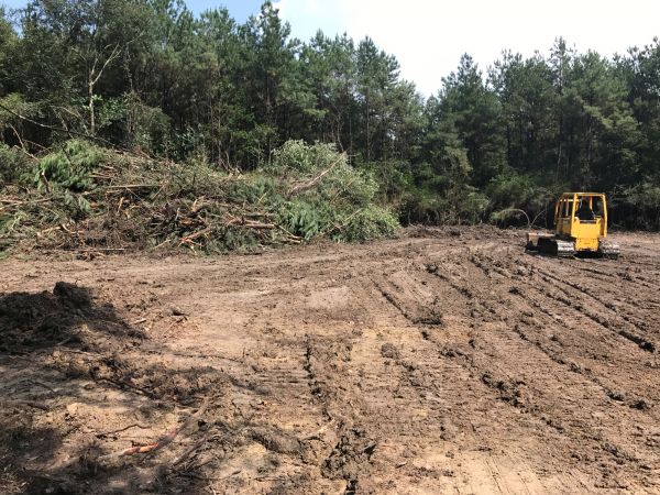 Thicket Clearing in San Angelo