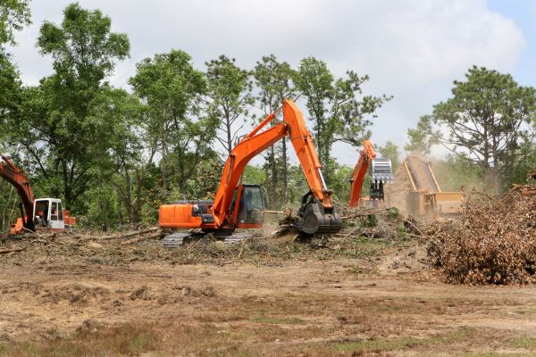 Commercial Lot Clearing in San Angelo